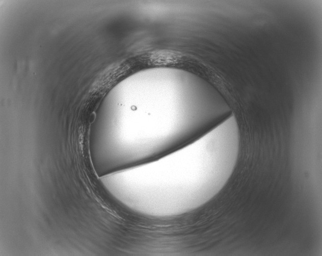 X0000086250315200703291042