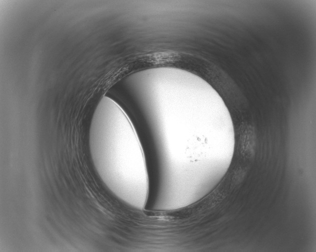 X0000086250316200703291042