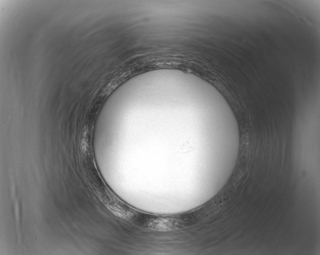 X0000086250323200703291042