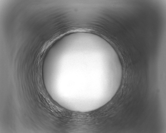 X0000086250337200703291041