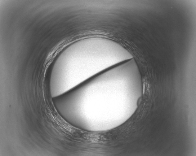 X0000086250339200703291041