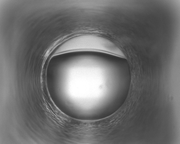 X0000086250340200703291041