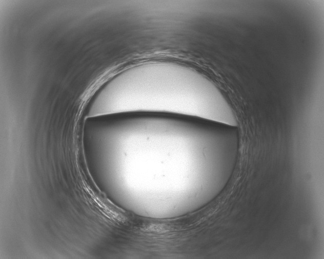 X0000086250341200703291041