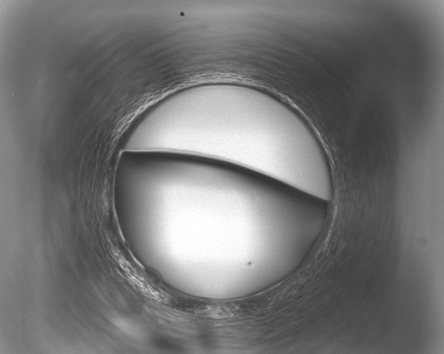 X0000086250345200703291041