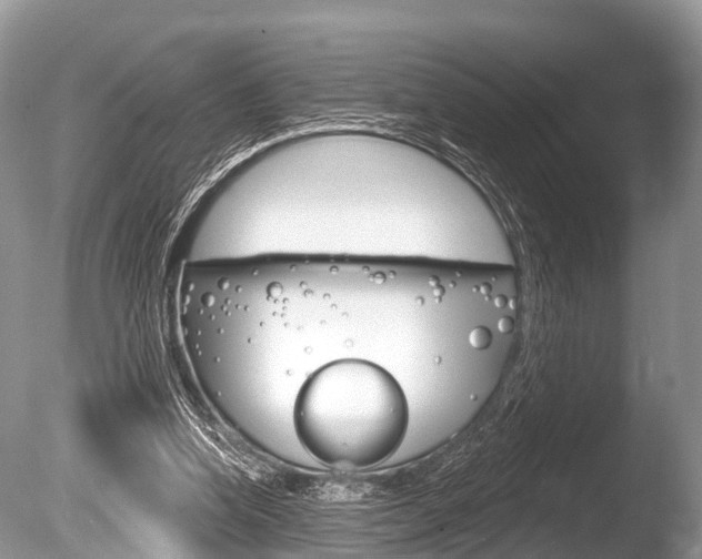 X0000086250346200703291041
