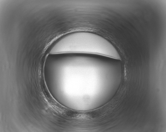 X0000086250348200703291041
