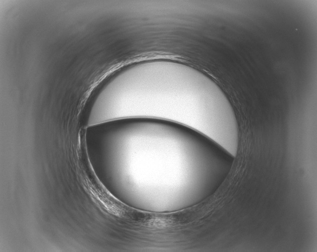 X0000086250350200703291041