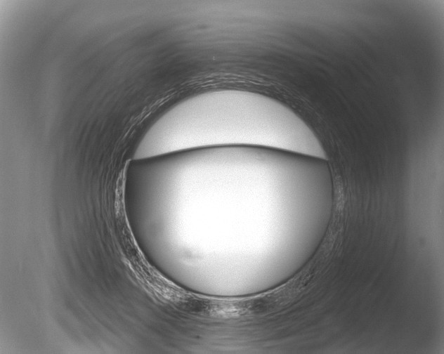 X0000086250360200703291042