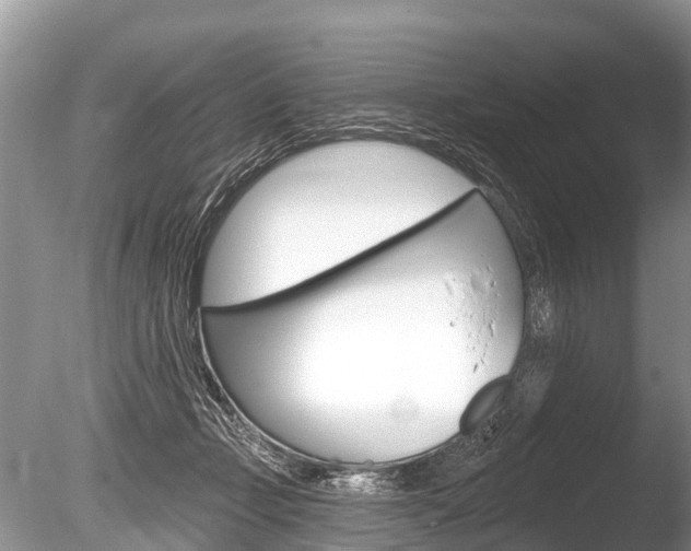 X0000086250365200703291042
