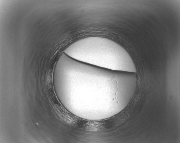 X0000086250367200703291042