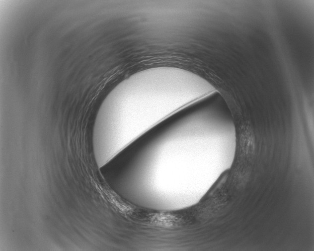 X0000086250379200703291042