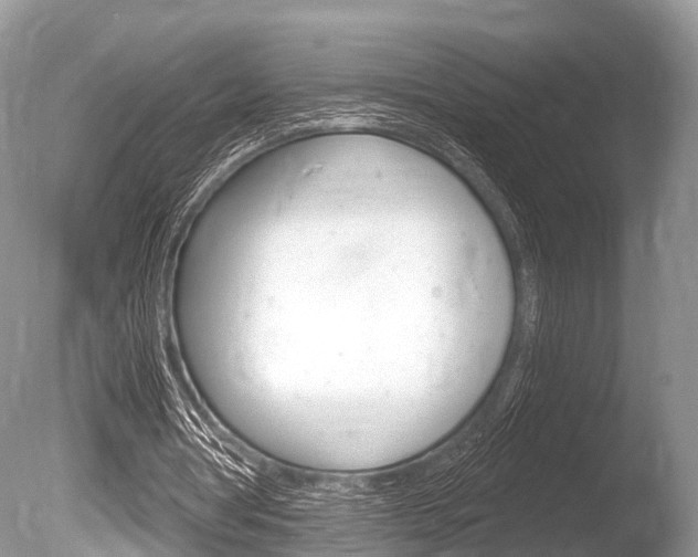 X0000086250386200703291041