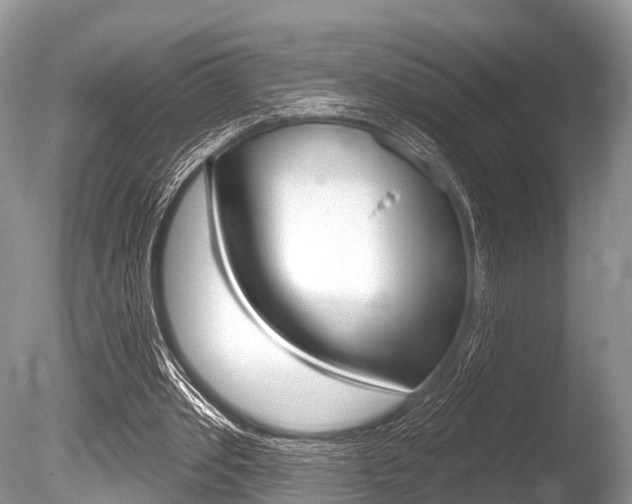 X0000086250389200703291041