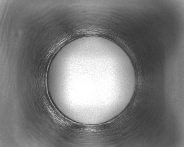 X0000086250394200703291041
