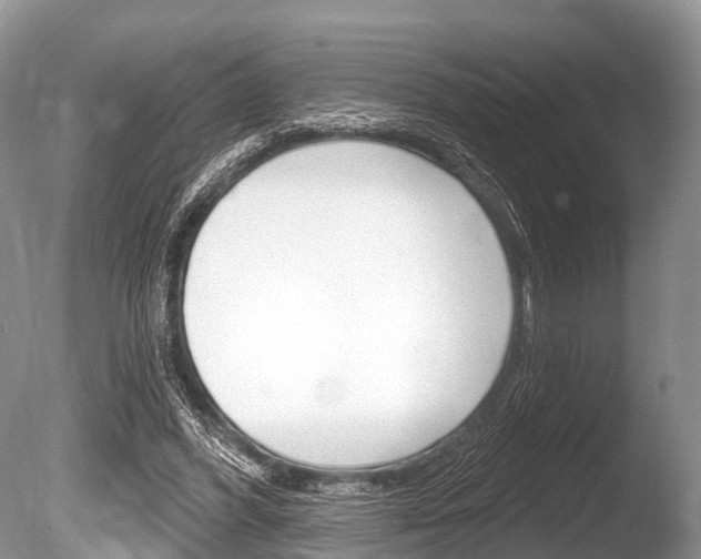 X0000086250396200703291041