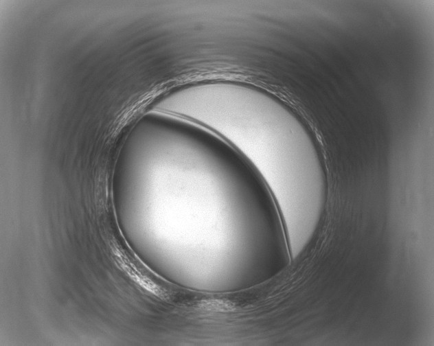 X0000086250397200703291041