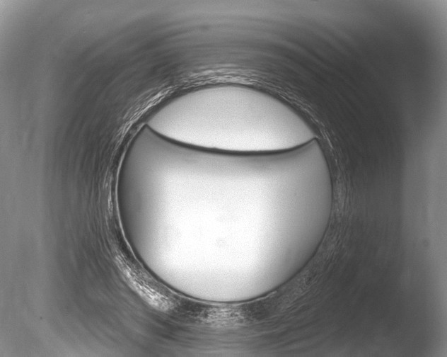 X0000086250398200703291041