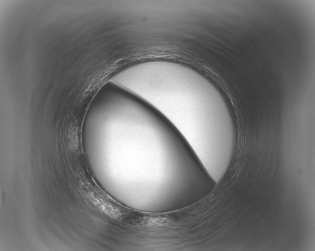 X0000086250401200703291041