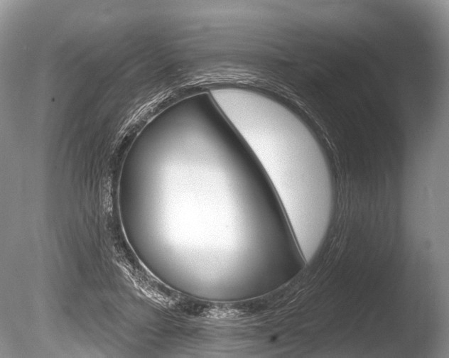 X0000086250403200703291041
