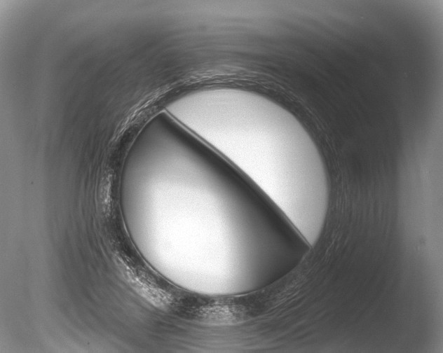 X0000086250404200703291041