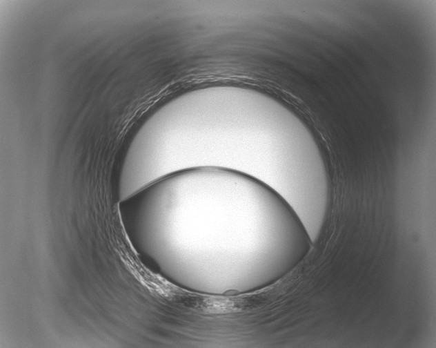 X0000086250405200703291041
