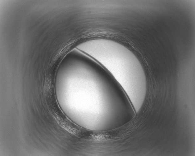 X0000086250407200703291041