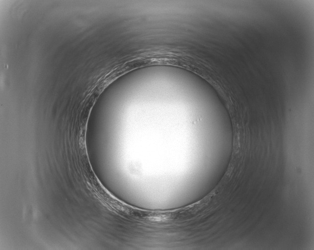 X0000086250411200703291041