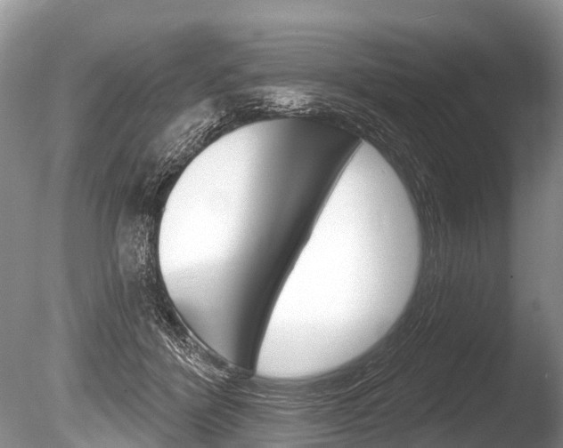 X0000086250412200703291041