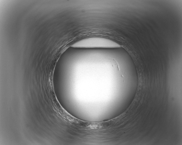 X0000086250415200703291041