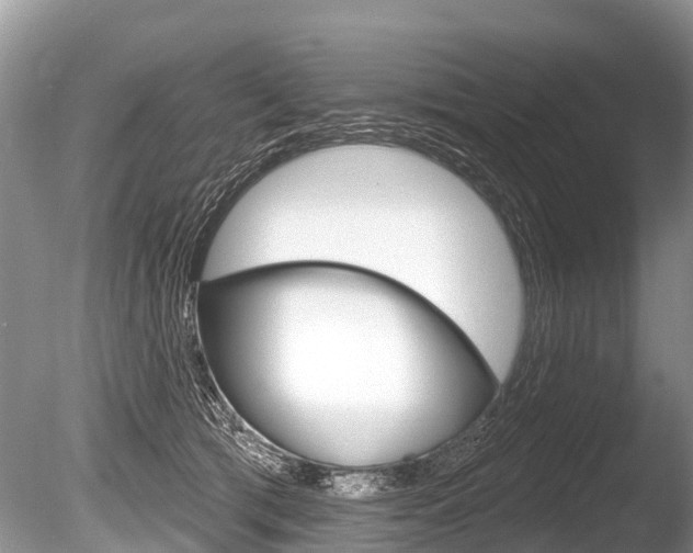X0000086250417200703291041
