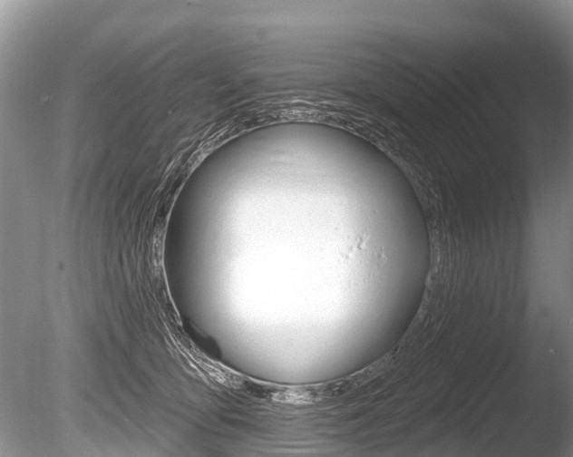 X0000086250419200703291041