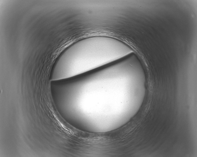 X0000086250433200703291039