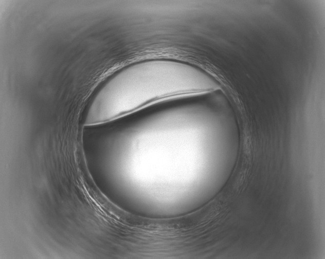 X0000086250434200703291039