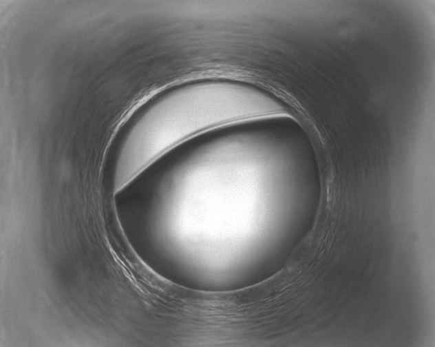 X0000086250436200703291040