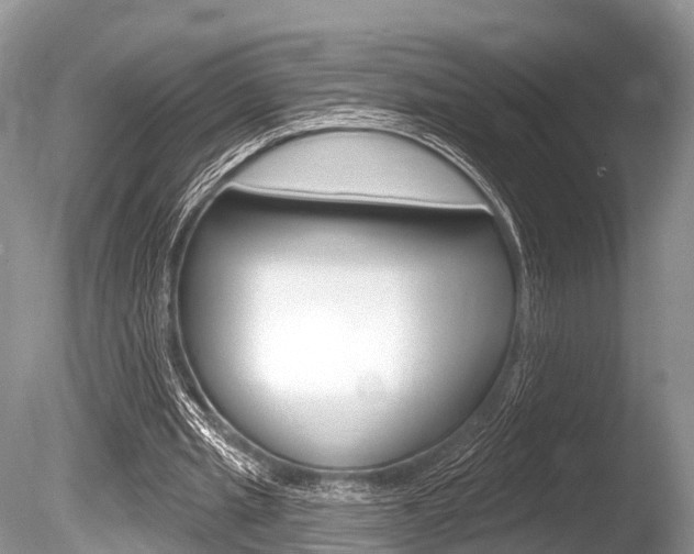 X0000086250437200703291040