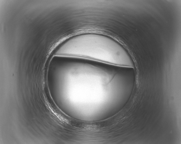 X0000086250438200703291040