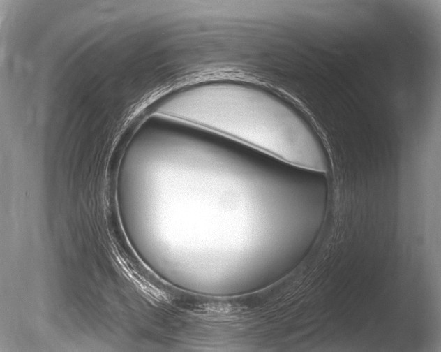 X0000086250439200703291040