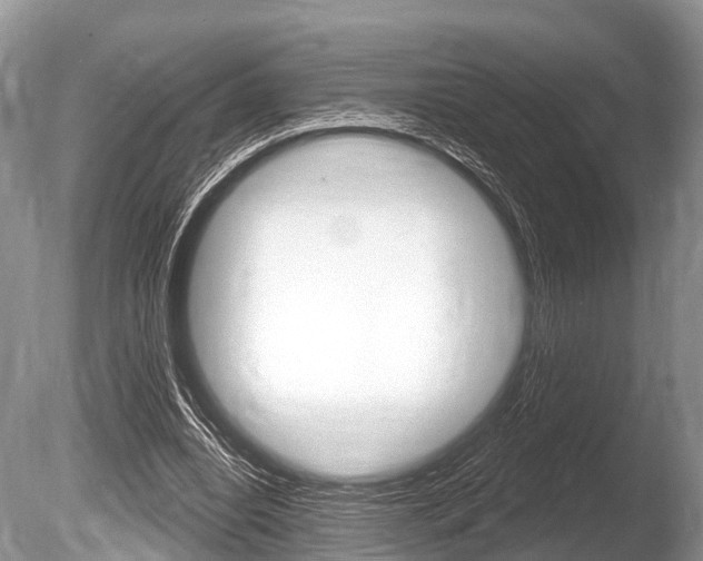 X0000086250440200703291040