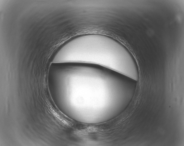 X0000086250441200703291040