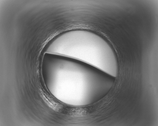 X0000086250443200703291040