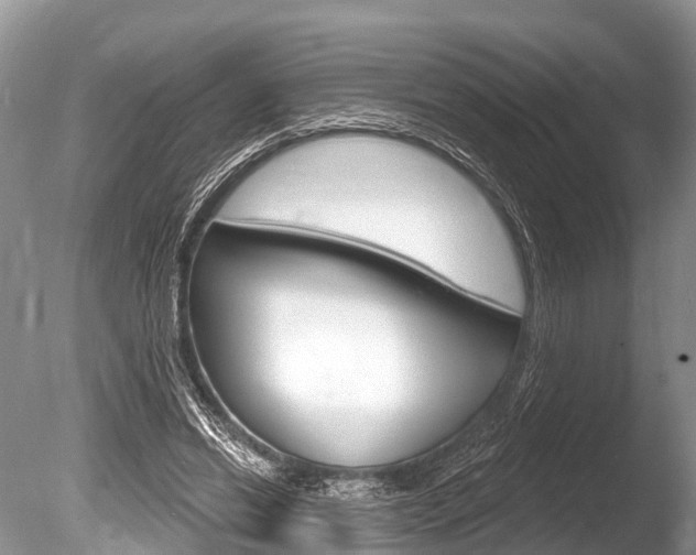 X0000086250446200703291040