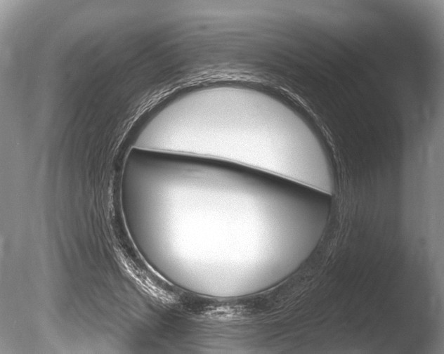X0000086250447200703291040