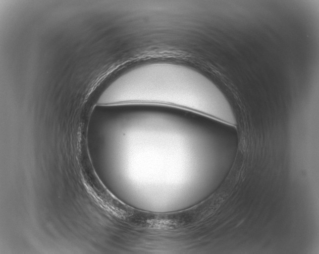 X0000086250448200703291040