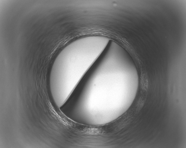X0000086250449200703291040