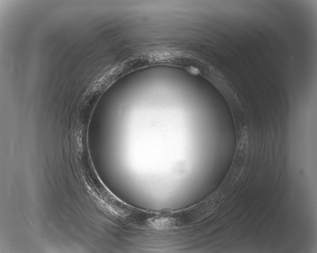 X0000086250452200703291040