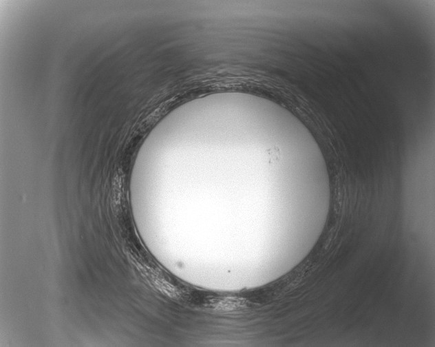 X0000086250463200703291040