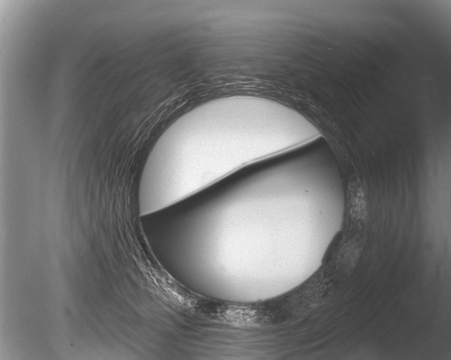 X0000086250471200703291040