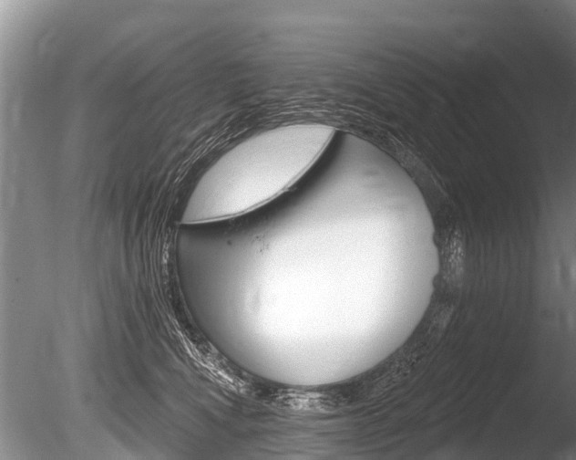 X0000086250472200703291040
