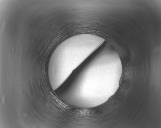 X0000086250473200703291040