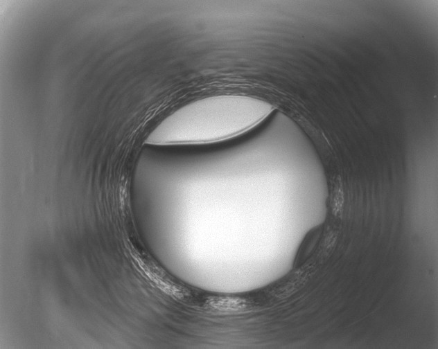 X0000086250476200703291040